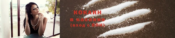 бошки Белокуриха