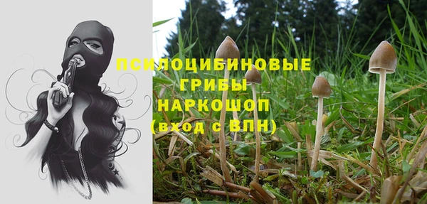 мдма Медвежьегорск