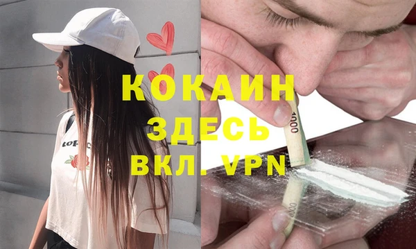 бошки Белокуриха