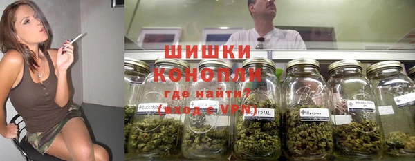 соль ск Богданович