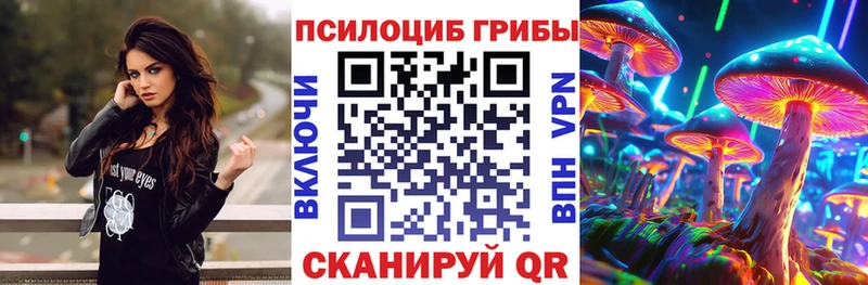 Псилоцибиновые грибы Magic Shrooms  купить наркотики цена  гидра зеркало  Конаково 